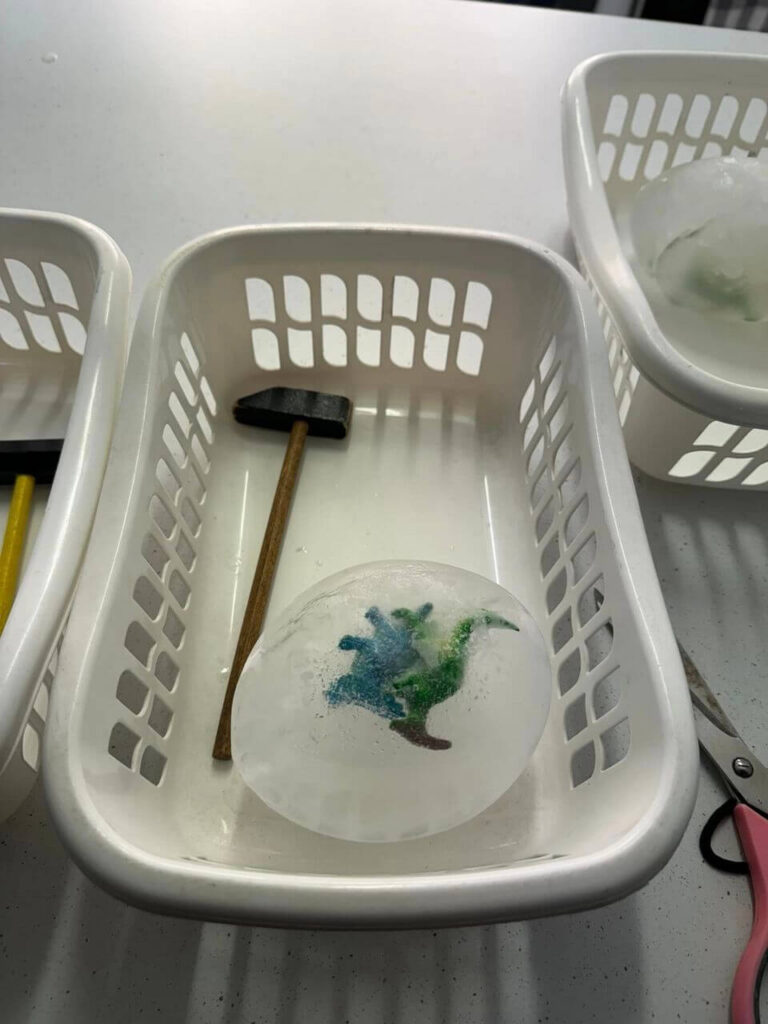 Frozen dinasaur