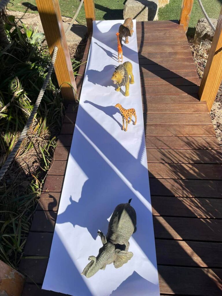 Shadows